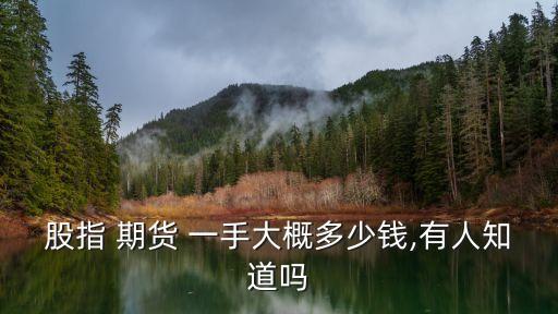 期貨最便宜一手多少錢,期貨一手手續(xù)費(fèi)是多少