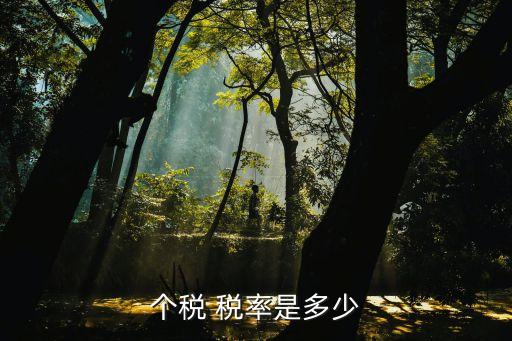 個(gè)稅 稅率是多少