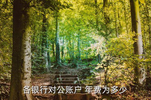 民生銀行結(jié)算年費(fèi)多少