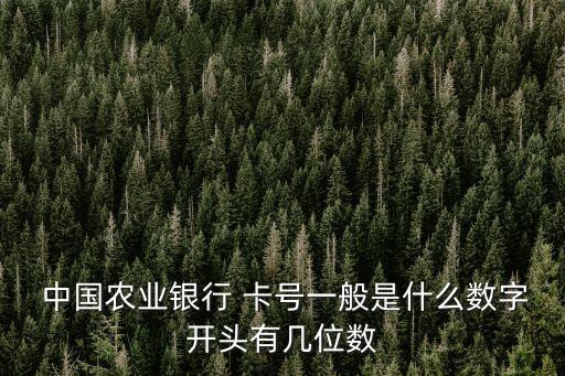  中國(guó)農(nóng)業(yè)銀行 卡號(hào)一般是什么數(shù)字開頭有幾位數(shù)