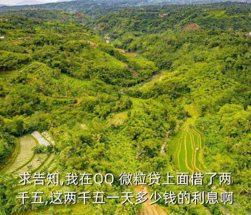 微粒貸2000一天多少錢