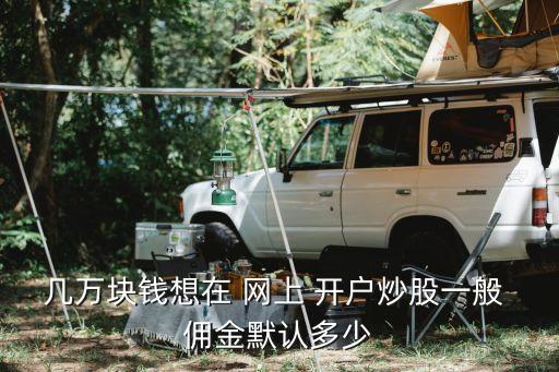 網(wǎng)上開(kāi)戶傭金是多少,國(guó)泰君安網(wǎng)上開(kāi)戶傭金