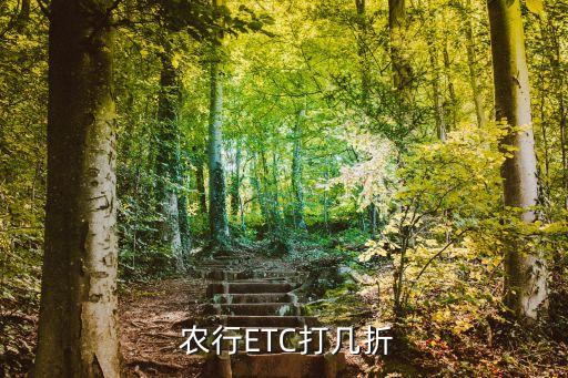 農行etc卡能下多少錢