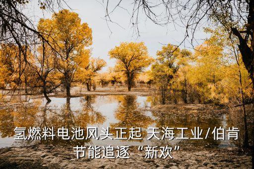天海投資共計(jì)多少理財(cái)