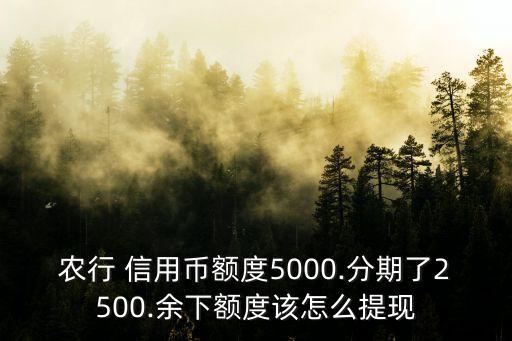 農(nóng)行 信用幣額度5000.分期了2500.余下額度該怎么提現(xiàn)