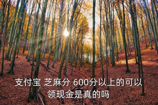 芝麻信用600分提多少錢(qián),支付寶芝麻信用怎么提升到600