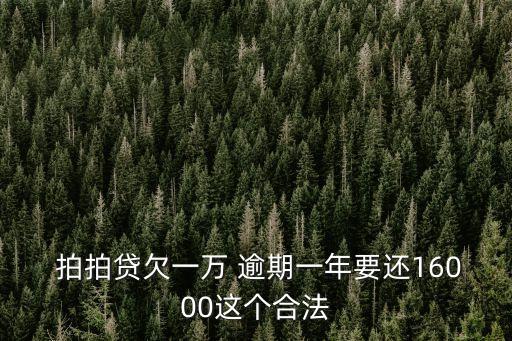 上海拍拍貸逾期利息多少,拍拍貸逾期的高額利息不還只還本金可以嗎