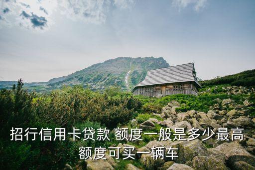 招行信用卡貸款 額度一般是多少最高 額度可買(mǎi)一輛車(chē)
