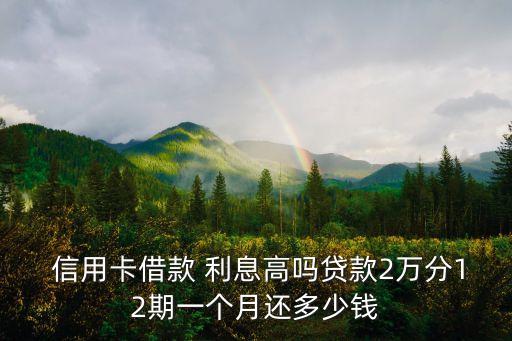  信用卡借款 利息高嗎貸款2萬分12期一個(gè)月還多少錢