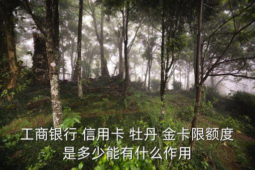 工行銀聯(lián)牡丹信用金卡額度多少錢,工行牡丹藝龍銀聯(lián)金卡