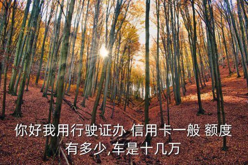 你好我用行駛證辦 信用卡一般 額度有多少,車是十幾萬(wàn)