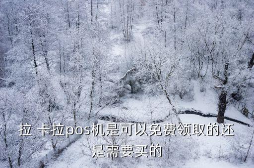 拉卡拉機(jī)子多少錢,代理拉卡拉需要多少錢