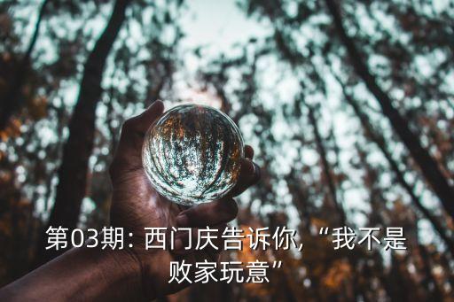 第03期: 西門慶告訴你,“我不是敗家玩意”