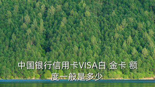 中國(guó)銀行信用卡VISA白 金卡 額度一般是多少