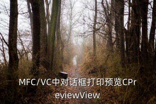 vc1270多少錢一對(duì)