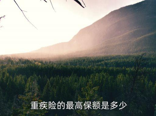 重疾險最多能買多少錢,兒童重疾險最多可以保多少