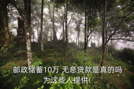 郵政無息貸款能貸多少,郵政10萬無息貸款好貸嗎