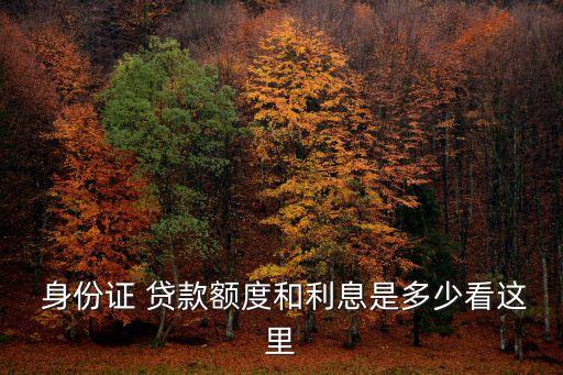 年身份證貸款能貸多少,怎樣查你身份證有沒有貸款或網(wǎng)貸