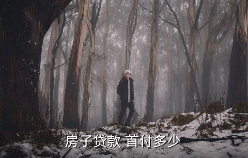 按揭買房首付最低多少錢,買房首付按揭流程