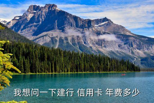 建設(shè)visa信用卡年費(fèi)多少錢,招行的VISA信用卡是免年費(fèi)的嗎