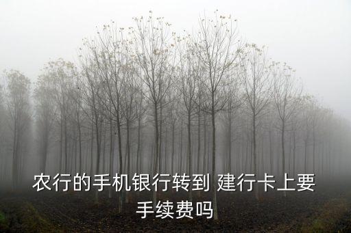  農(nóng)行的手機銀行轉(zhuǎn)到 建行卡上要 手續(xù)費嗎