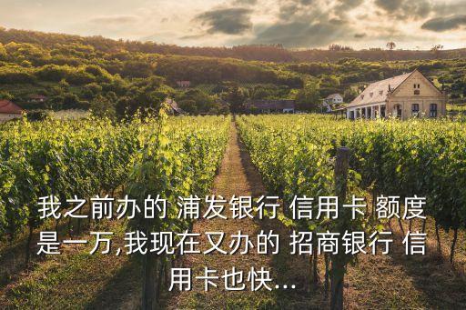 我之前辦的 浦發(fā)銀行 信用卡 額度是一萬(wàn),我現(xiàn)在又辦的 招商銀行 信用卡也快...