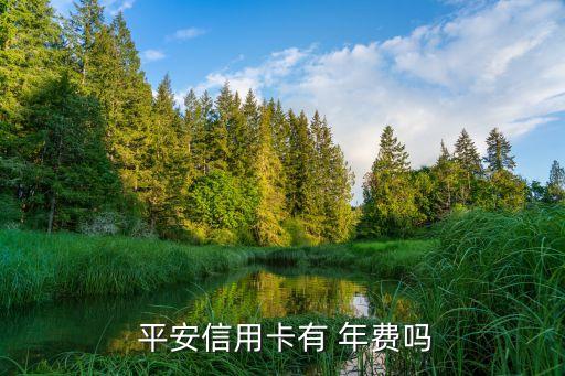  平安信用卡有 年費(fèi)嗎