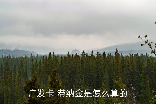 信用卡滯納金多少錢