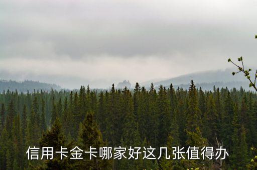 光大銀行龍騰權(quán)益e卡年費(fèi)多少錢