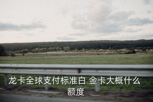 龍卡全球支付標準白 金卡大概什么 額度