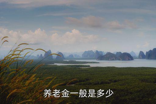  養(yǎng)老金一般是多少