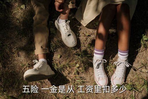  五險 一金是從 工資里扣多少