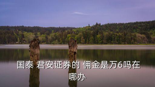 國(guó)泰君安網(wǎng)上手機(jī)開(kāi)戶傭金是多少,同花順國(guó)泰君安開(kāi)戶傭金