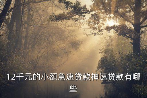 12千元的小額急速貸款神速貸款有哪些