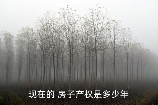 房子擁有多少年,房子貸款可以貸多少年