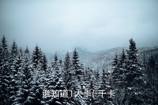 誰知道1大卡( 千卡