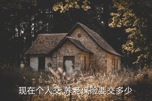 現(xiàn)在個(gè)人交 養(yǎng)老保險(xiǎn)要交多少