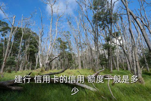  建行 信用卡的信用 額度一般是多少