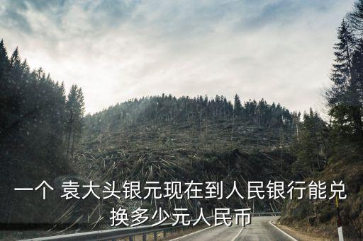 袁大頭值多少錢一個,民國十年袁大頭值多少錢一個