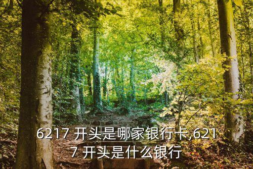 6217 開頭是哪家銀行卡,6217 開頭是什么銀行