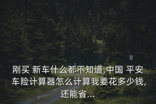 剛買(mǎi) 新車什么都不知道,中國(guó) 平安 車險(xiǎn)計(jì)算器怎么計(jì)算我要花多少錢(qián),還能省...