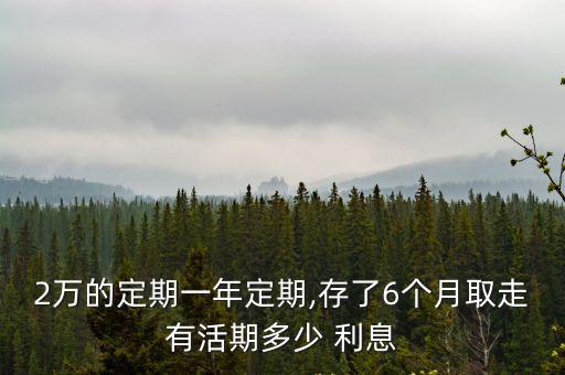 2萬的定期一年定期,存了6個月取走有活期多少 利息