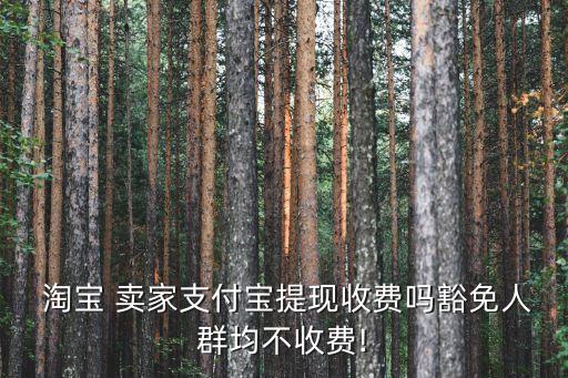 淘寶賣家免手續(xù)費多少錢