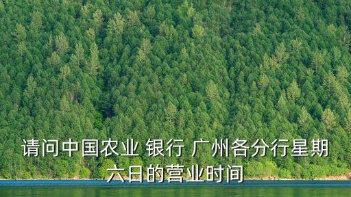 請(qǐng)問中國(guó)農(nóng)業(yè) 銀行 廣州各分行星期六日的營(yíng)業(yè)時(shí)間