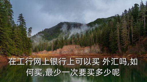 外匯交易最低多少錢,外匯最低多少錢可以操作