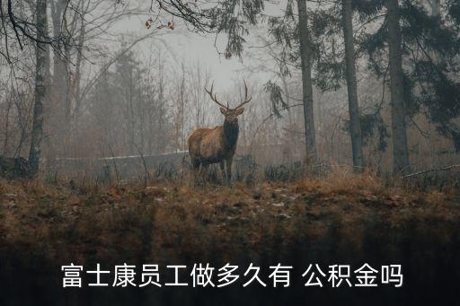 武漢富士康交多少錢的公積金