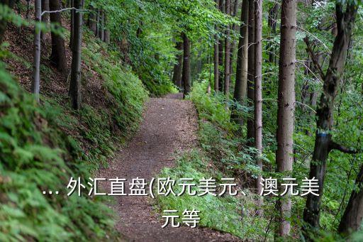 ... 外匯直盤(歐元美元、澳元美元等