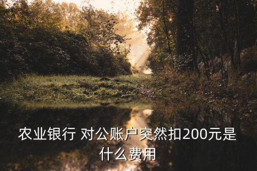 農(nóng)業(yè)銀行 對公賬戶突然扣200元是什么費用