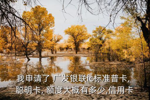 我申請了 廣發(fā)銀聯(lián)ic標(biāo)準(zhǔn)普卡, 聰明卡, 額度大概有多少,信用卡