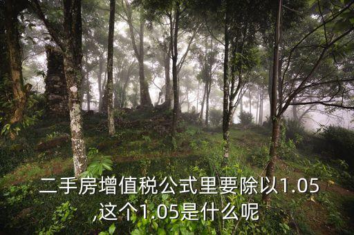  二手房增值稅公式里要除以1.05,這個(gè)1.05是什么呢